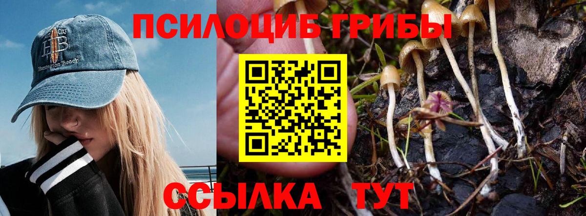 Галлюциногенные грибы Psilocybe  Вход с VPN  магазин продажи наркотиков  Новороссийск 