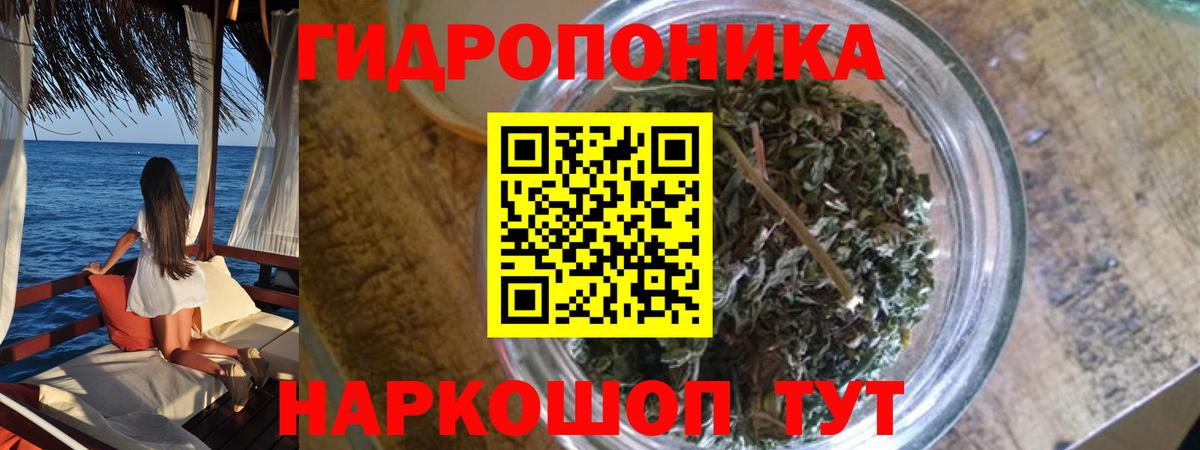 Марихуана OG Kush  Вход с VPN  Канабис Ganja  Канабис White Widow  Новороссийск 